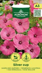Rose Mallow Silver Cup Seed